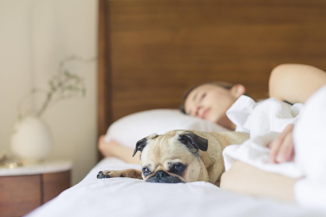 Optimer din søvn med 8 simple tips