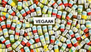 hvilke kosttilskud har en veganer brug for